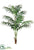 Silk Plants Direct Kentia Palm Tree - Green - Pack of 1