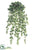 Silk Plants Direct Mini Holland Ivy Hanging Bush - Green - Pack of 6