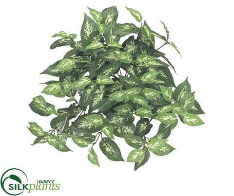 dieffenbachia bush Silk Plants Direct Dieffenbachia Hanging Bush - Green