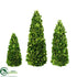 Silk Plants Direct Preserved Boxwood Topiary Cone Collection - Green - Pack of 1