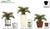 Silk Plants Direct Cycas Palm Plant - Green - Pack of 1