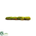 Silk Plants Direct Sponge Moss Sheet - Green - Pack of 6