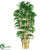 Bamboo Poles - Green - Pack of 1