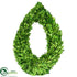 Silk Plants Direct Preserved Boxwood Wreath Water Drop - Green - Pack of 1