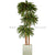 Silk Plants Direct Cycas Lighted Palm Tree - Green - Pack of 1