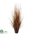Silk Plants Direct Onion Grass - Red - Pack of 2