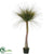 Silk Plants Direct Wild Grass Tree - Green Two Tone - Pack of 2