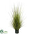 Silk Plants Direct Decorative Grass Plant - Burgundy - Pack of 4