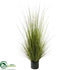 Silk Plants Direct Decorative Grass Plant - Burgundy - Pack of 4