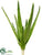 Silk Plants Direct Aloe Pick - Green - Pack of 12