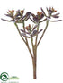 Silk Plants Direct Aeonium Pick - Burgundy Green - Pack of 8