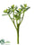 Silk Plants Direct Aeonium Pick - Green - Pack of 8