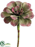 Silk Plants Direct Aeonium Pick - Green Mauve - Pack of 12