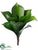 Agave Plant - Green Dark - Pack of 24