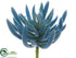 Silk Plants Direct Aeonium Plant - Blue - Pack of 24