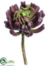 Silk Plants Direct Aeonium - Green Burgundy - Pack of 12