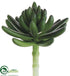 Silk Plants Direct Spike Aeonium - Green - Pack of 24