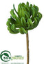 Silk Plants Direct Aeonium Spray - Green - Pack of 4