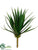 Aloe Pick - Green - Pack of 12