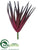 Aloe Pick - Burgundy - Pack of 12
