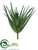 Aloe Pick - Green - Pack of 12