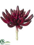 Silk Plants Direct Aeonium Pick - Burgundy - Pack of 12