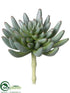 Silk Plants Direct Aeonium Pick - Green Gray - Pack of 12