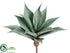 Silk Plants Direct Agave - Green Frosted - Pack of 2