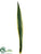 Agave Leaf Spray - Green Yellow - Pack of 6
