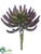 Silk Plants Direct Aeonium Pick - Burgundy - Pack of 6