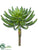 Silk Plants Direct Aeonium Pick - Green Gray - Pack of 6