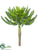 Silk Plants Direct Aeonium Pick - Green - Pack of 6