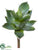 Silk Plants Direct Agave Pick - Green Gray - Pack of 6