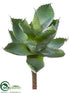 Silk Plants Direct Agave Pick - Green Gray - Pack of 6