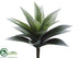 Silk Plants Direct Agave Plant - Green Frosted - Pack of 24