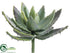 Silk Plants Direct Aloe Plant - Green Mauve - Pack of 6