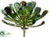 Silk Plants Direct Aeonium Plant - Green - Pack of 6