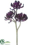 Silk Plants Direct Aeonium Spray - Burgundy - Pack of 6