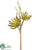 Silk Plants Direct Aeonium Spray - Green Burgundy - Pack of 6