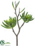Silk Plants Direct Aeonium Spray - Green Gray - Pack of 6