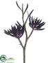 Silk Plants Direct Aeonium Spray - Plum - Pack of 6