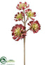 Silk Plants Direct Aeonium Stem - Beauty Green - Pack of 6