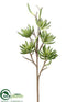 Silk Plants Direct Aeonium Stem - Green - Pack of 6