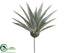Silk Plants Direct Aloe - Green - Pack of 12