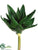 Aloe Plant - Green - Pack of 12