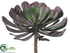 Silk Plants Direct Aeonium - Burgundy Gray - Pack of 12