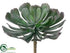 Silk Plants Direct Aeonium - Green Gray - Pack of 12