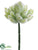 Mini Single Agave Cactus - Green Flocked - Pack of 48