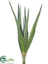Silk Plants Direct Aloe - Green Light - Pack of 12