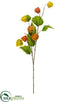 Silk Plants Direct Chinese Lantern Spray - Fall - Pack of 12